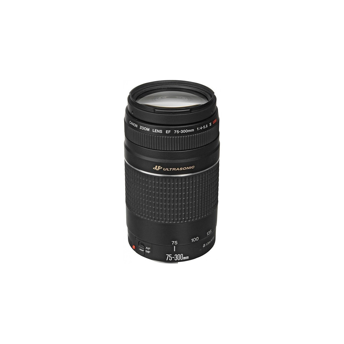 Canon Objectif Ef 75 300 Mm 1 4 0 5 6 Iii Usm