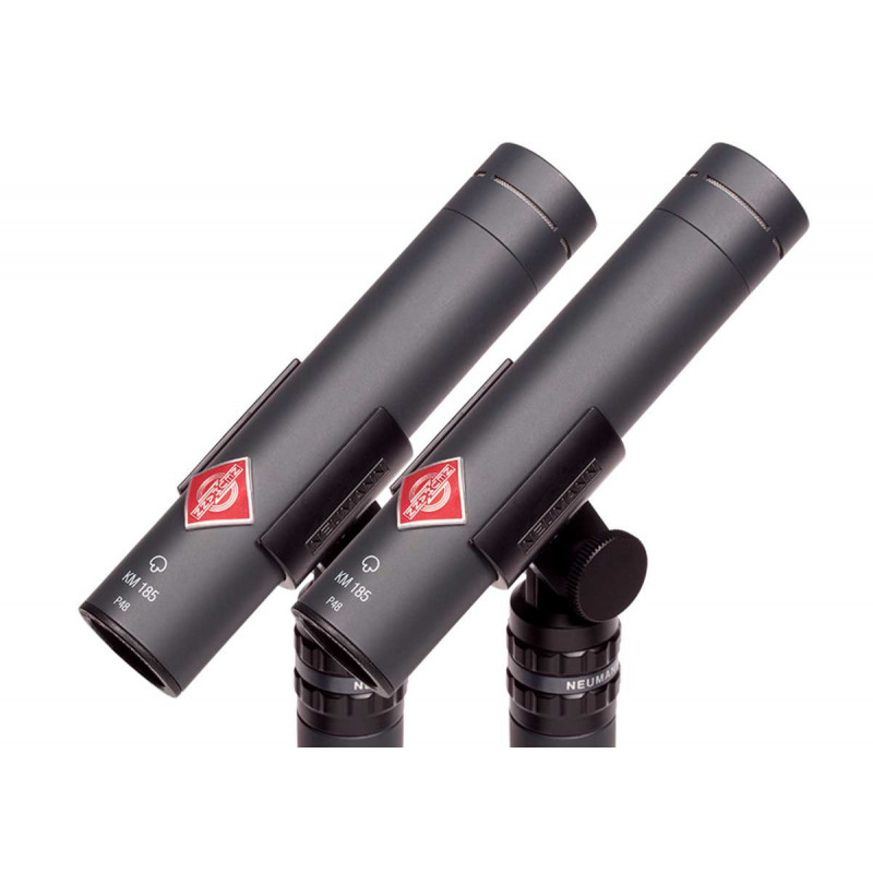 Neumann Avec 2 KM 185 mt, 2 WNS 100 et 2 SG 21, noir