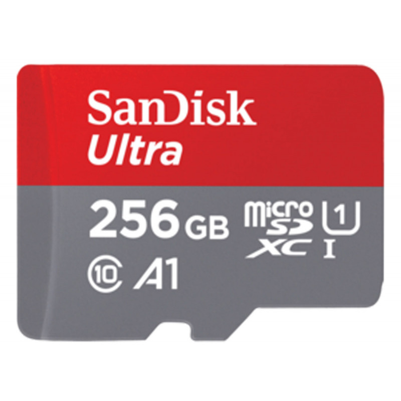 FV SanDisk Carte MicroSDXC Ultra 256Go (A1/UHS-I/Cl.10/120MB/s)Ad Mob