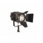 FV CAME-TV Boltzen 100w Fresnel Fanless Focusable LED Daylight