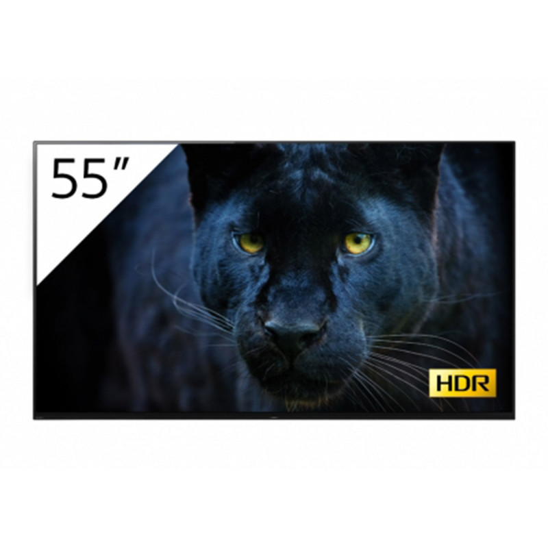 Sony 55 '' 4K OLED Android Professional BRAVIA avec tuner