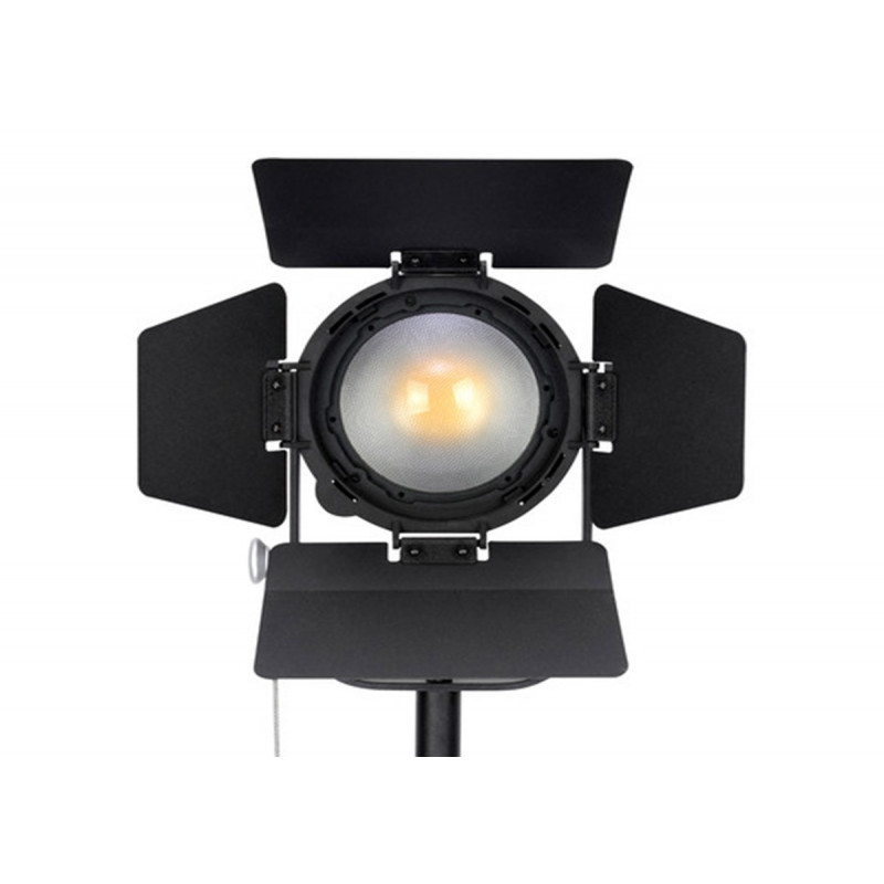 Nanguang CN-60FC Fresnel LED Bi-color 60W avec Sac