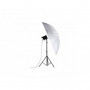 Nanlite Umbrella Shallow Translucent 180CM