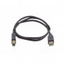 Kramer C-USB/AB-10 Cable USB 2.0 A vers B