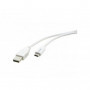 Kramer C-USB/CA-10 Cable USB 2.0 de Type C