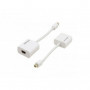 Kramer ADC-MDP/HF Cable Adaptateur Mini DisplayPort (M) vers HDMI (F)