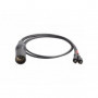 Schoeps AK 2L/SU - Cable adaptateur Y (2) Lemo vers (1) XLR-5M