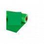 Colorama Fond Papier Studio Chromagreen 2,72 X 11m