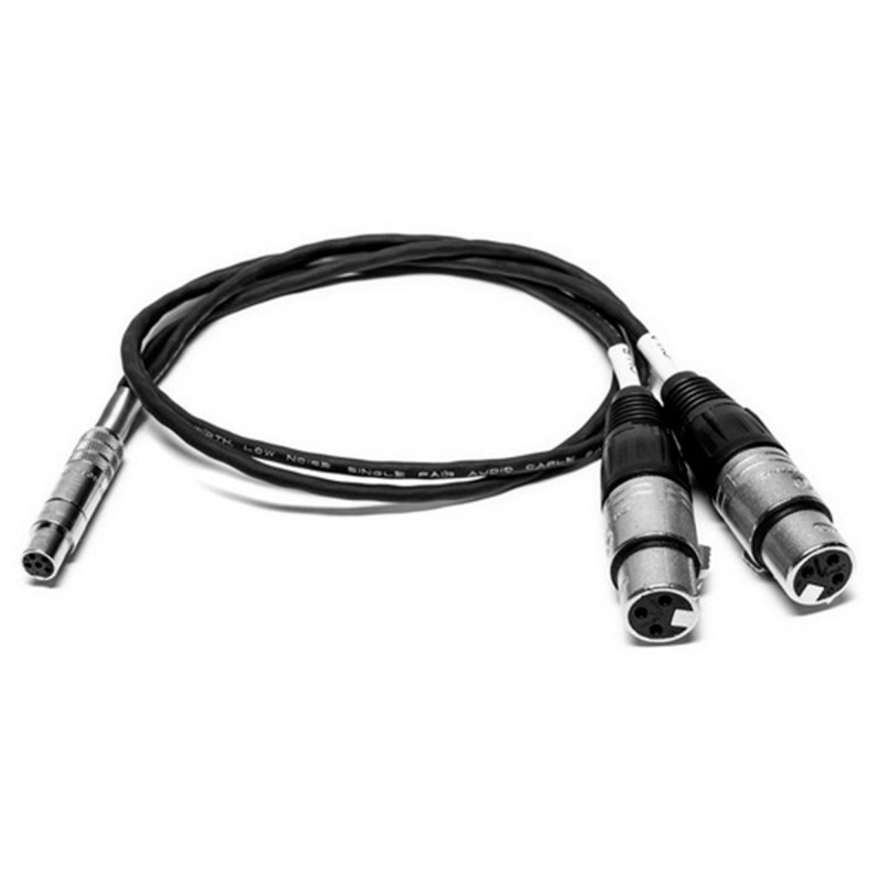 Sound Devices TA5F to (2) XLR-F 60cm long pour Scorpio