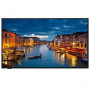 Panasonic Moniteur TH-50CQ1W 50" UHD 3840 x 2160 400 cd/m²