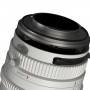 Dzofilm Catta FF Zoom 35-80MM T2.9 White-E Mount