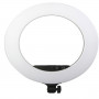 Starblitz Starblitz Kit Ring Light 21'' 53cm