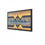 TVLogic Moniteur Studio  42 "FullHD Studio 2 × 3G-SDI Entrée & sortie