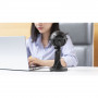 Boya Microphone USB de bureau BY-PM300