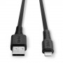 Lindy Câble USB Type A vers Lightning, noir, 0.5m