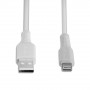 Lindy Câble USB Type A vers Lightning, Blanc, 0.5m