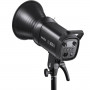 Godox SL100D - torche LED light Daylight 5600K 100 avec housse légère