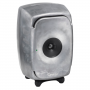 Genelec Enceinte active 3 voies 2 x 6,5" Coaxial.RAW