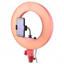 Godox LR160 LED Ring Light Pink