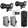 Godox SK300ll Travel kit