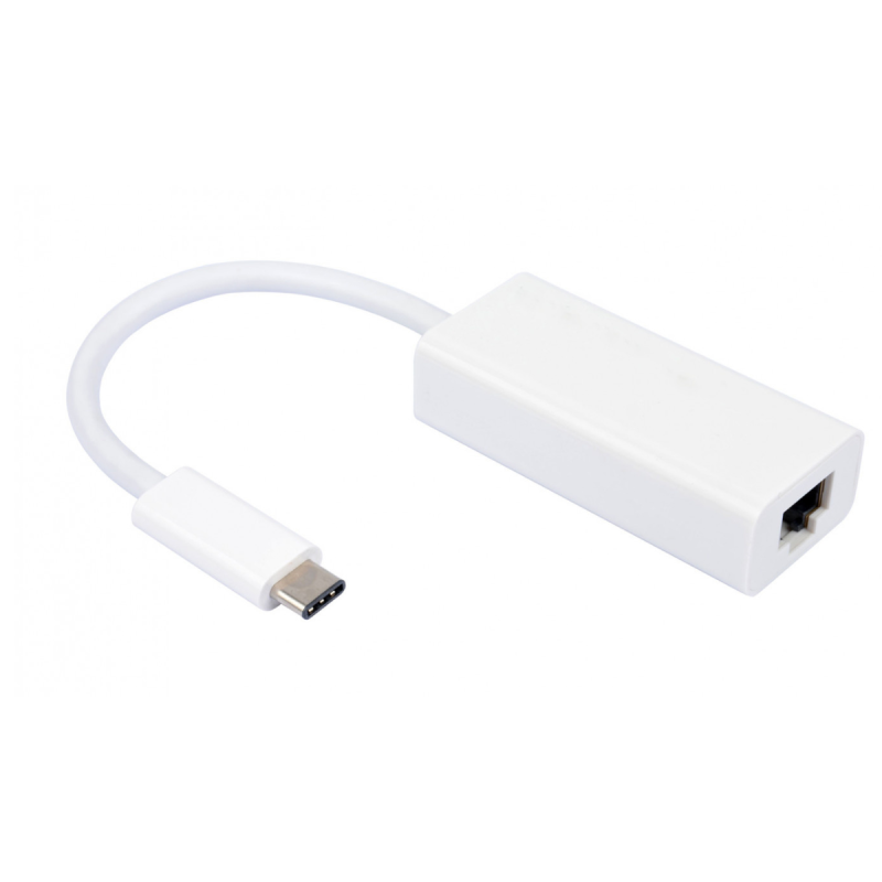 Convertisseur USB 3.2 gen 1 C M / RJ45 F 15cm