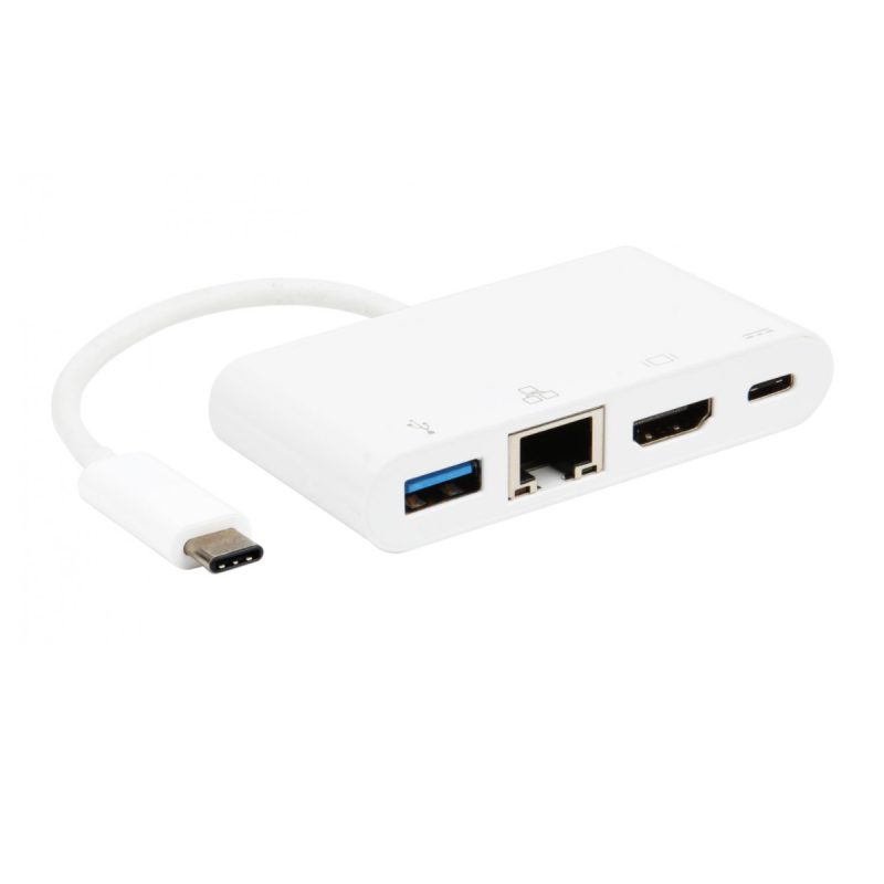 Erard Convertisseur USB 3.2 gen1C M/HDMI F+USB C F+USB AF+RJ45 F 15cm