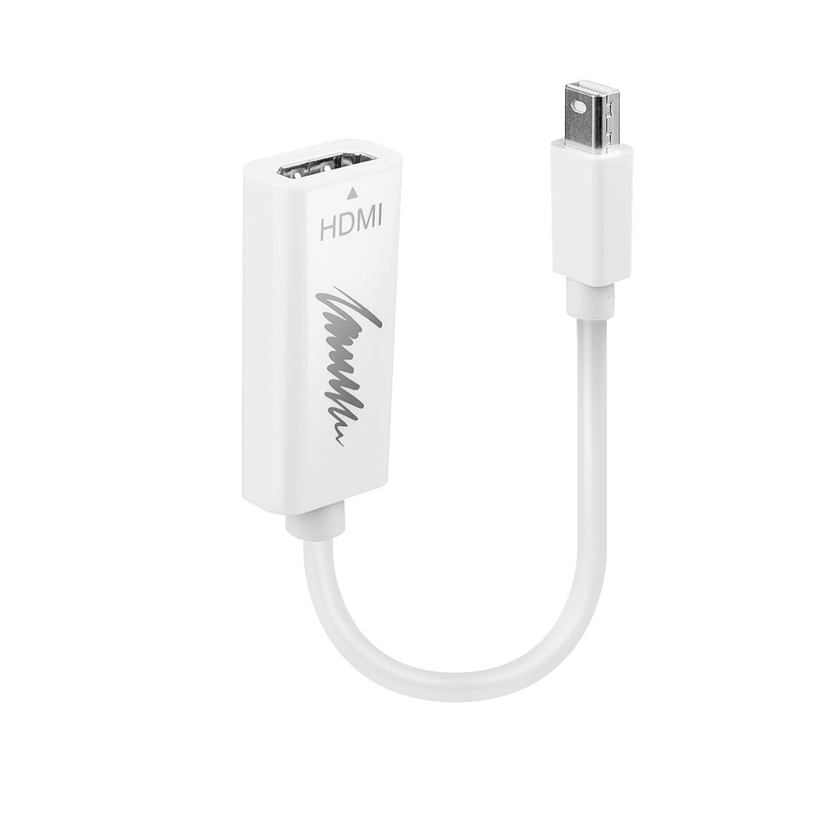 Convertisseur actif mini DisplayPort vers HDMI - HDMI - Garantie 3