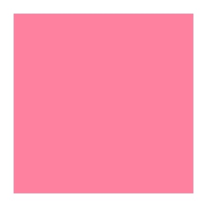 Lee Filters Filtre gélatine 107 effet Light Rose Rouleau 762x122cm