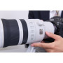 Canon Objectif Zoom RF 100-300mm F2.8L IS USM