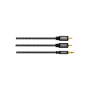 Avinity Câble audio 2Â f. RCA mâles-jack mâle stéréo 3,5Â mm 5,0Â m