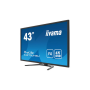 Iiyama IIYAMA LFD 42,5" dalle VA 24/7 4K 3840x2160 16:9 HPs 500cd/m²