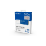 Western Digital WD Blue SN570 500GB 500Mo