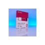 Western Digital SSD M.2 WD Red SN700 2 To