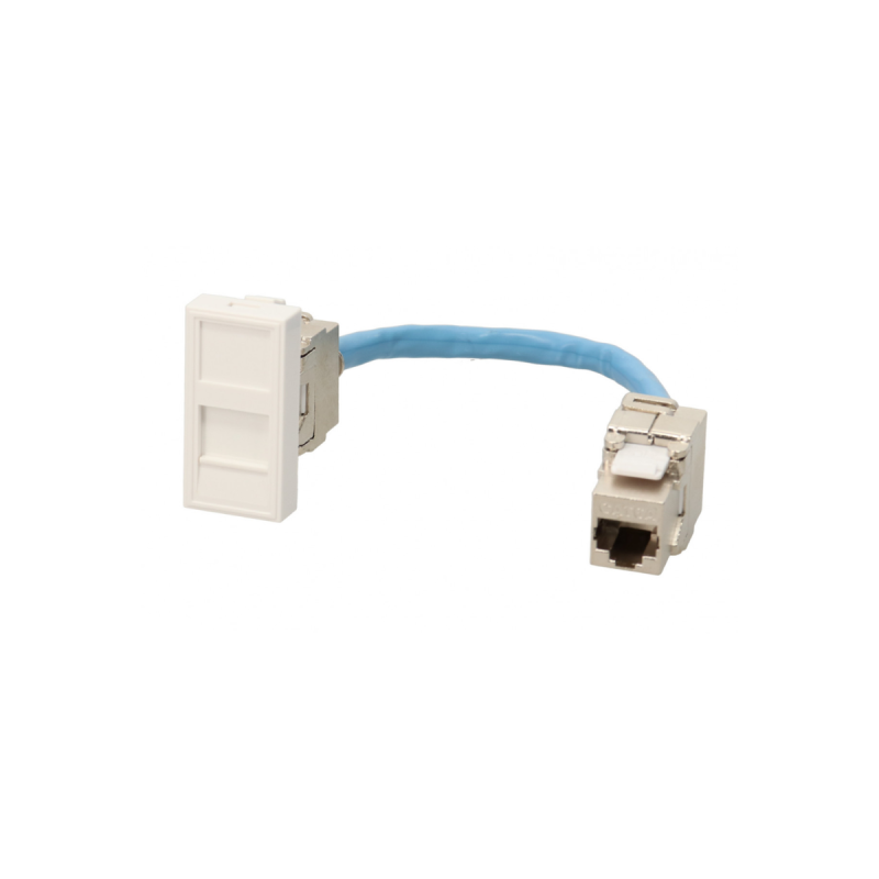 Plastron RJ45 C6 FF 2 mod 0.2m