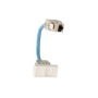 Plastron RJ45 C6 FF 2 mod 0.2m