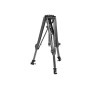 Matthews Tripod,Mt1