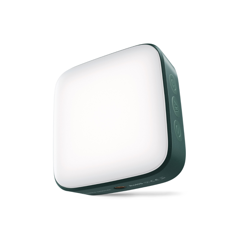 Newell Campina LED lamp - green