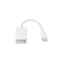 Apple USB-C to Lightning Adapter