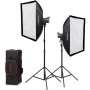 Godox Kit 2 Lumières Litemons LA200Bi LED Bi-color K2 avec accessoire