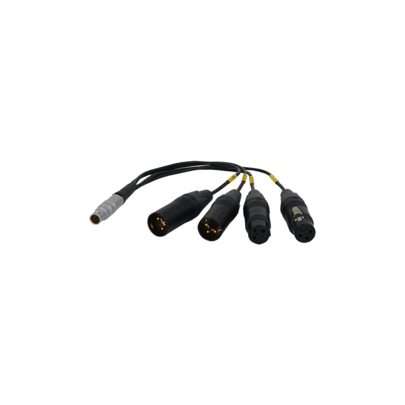 Bolin Câble adapteur 10pin XLR Audio