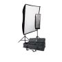 Westcott Spiderlite TD6 Perfect Portrait  2 Light Deluxe