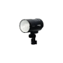 Profoto Torche B10X 250 To Go - Puissance de 250 Ws