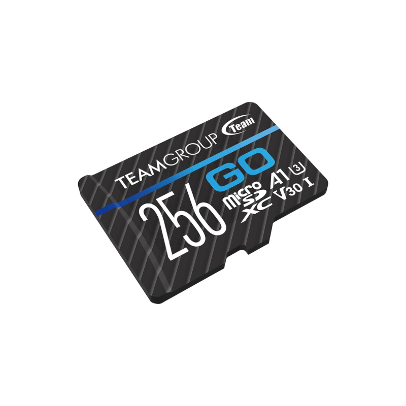 Team Group Micro SDHC/SDXC GO Card Series 256GB (U3 V30 A1)