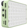 Amaran Ace 25x Green