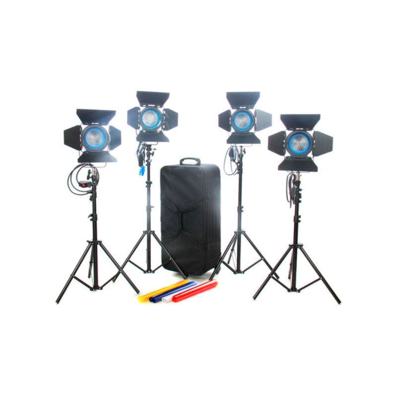 Came-TV 4pcs 650W Fresnel Tungsten Light Video Continuous Lighting