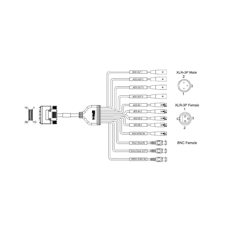 Digigram Cable pour carte Lola881&16161 1-4/s