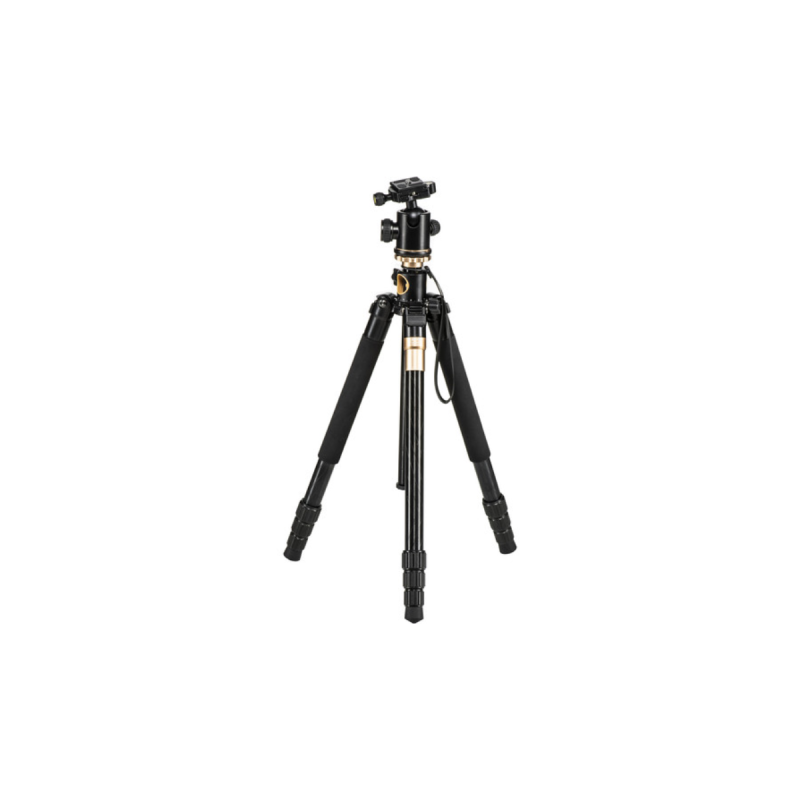 Came-TV Q156 Low Shooting Tripod