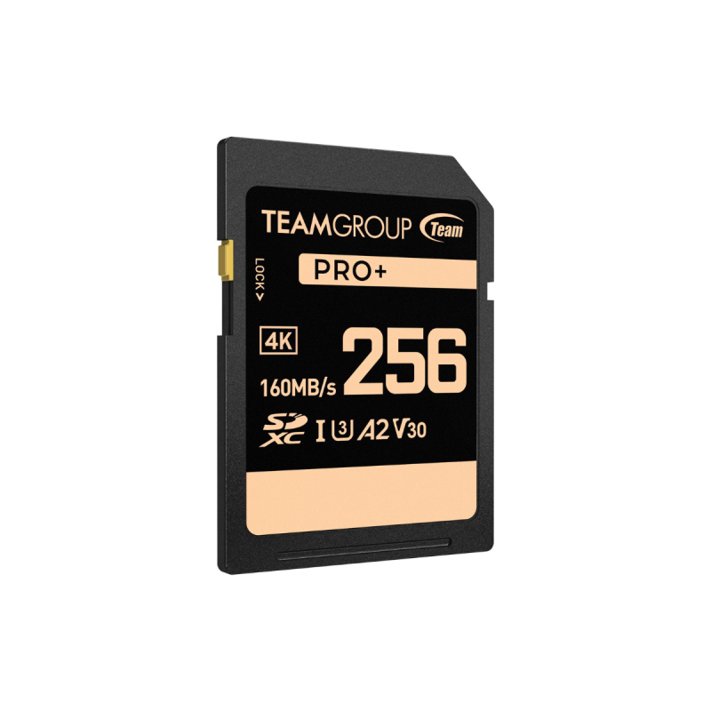 Team Group Pro + SDXC UHS-I U3 V30 A2 256GB(U3 V30 A2)